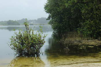Reserva de Khor Awqad