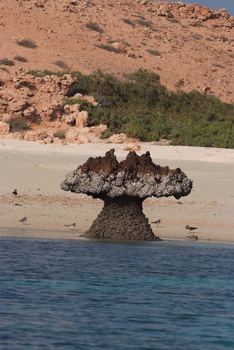 Reserva Natural de las Islas Daymaniyat