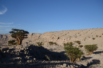 Naturreservat Jabal Samhan