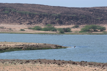 Réserve naturelle de Khor Rori