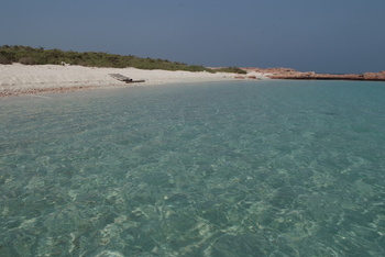 Naturreservat Daymaniyat Inseln
