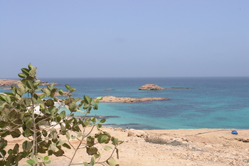 Réserve naturelle des îles Dimaniyat