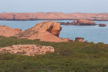 Réserve naturelle des îles Dimaniyat