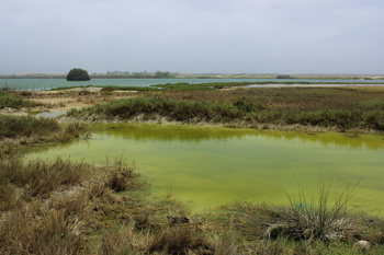 Reserva de Khor Dahariz