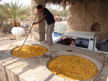 Al Tabsil (Hervir dátiles en agua) 