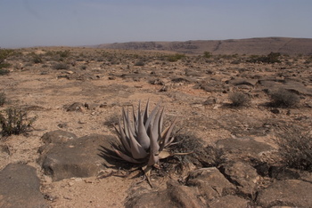 Reserva de Jabal Samhan
