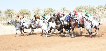 Caballos y Camellos