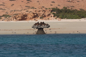 Reserva Natural de las Islas Daymaniyat