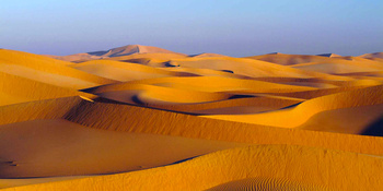 رمال وهيبة