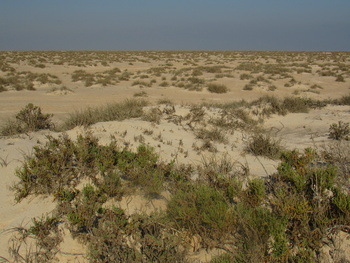 Naturreservat der Feuchtgebiete