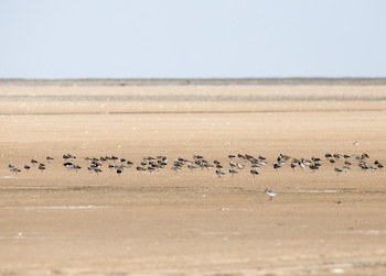 Naturreservat der Feuchtgebiete