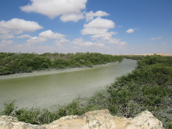 Naturreservat der Feuchtgebiete