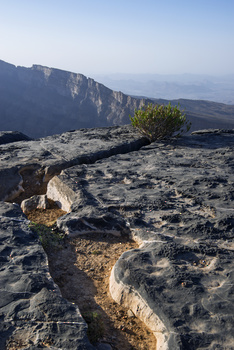Al Jabal Al Gharbi Starlight Reserve