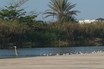 Reserva de Khor Al Baleed