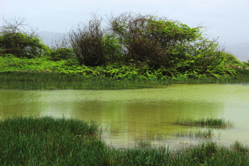 Reserva de Khor Suli