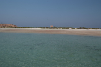 محمية جزر الديمانيات الطبيعية