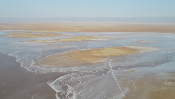 Reserva de Humedales