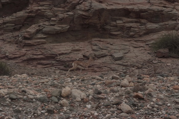 Reserva de Jabal Samhan
