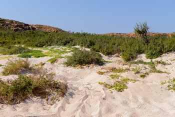 Réserve naturelle des îles Dimaniyat