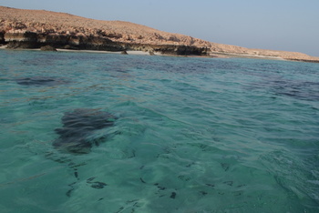Reserva Natural de las Islas Daymaniyat