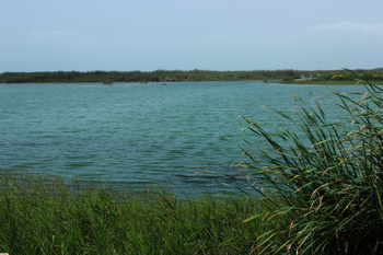 Naturreservat Khor Taqah