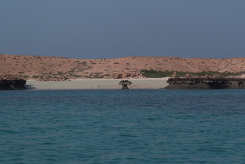 Naturreservat Daymaniyat Inseln