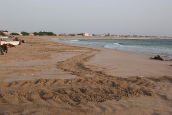 Reserva de las Tortugas en la Gobernación de Al Sharqiyah del Sur – Ras Al Hadd