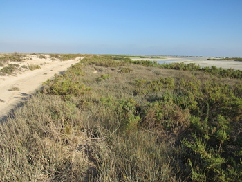 Reserva de Humedales