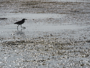 Naturreservat der Feuchtgebiete