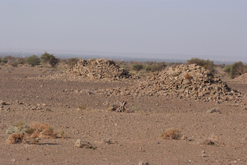 Reserva Natural de Al Saleel