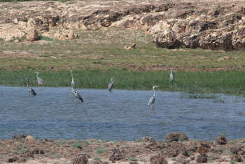 Reserva de Khor Rori