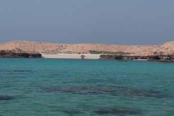 Naturreservat Daymaniyat Inseln