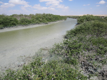 Reserva de Humedales