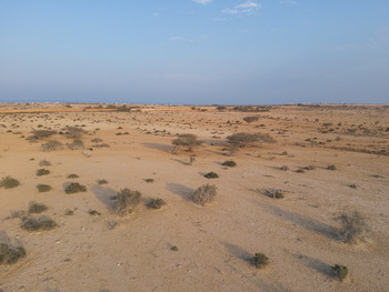 Naturschutzgebiet Ras Al Shajar – Qurayyat