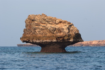 Naturreservat Daymaniyat Inseln