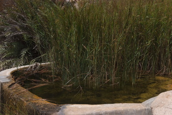 Reserva de Jabal Samhan