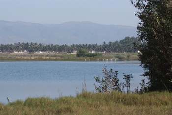 Reserva de Khor Awqad