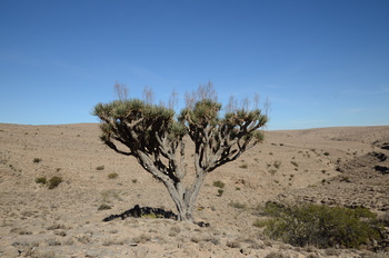 Naturreservat Jabal Samhan