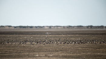 Reserva de Humedales