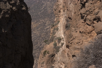 Naturreservat Jabal Samhan