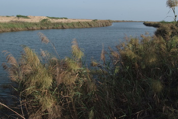 Naturreservat Khor Al Dahariz