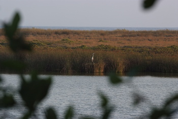 Reserva de Khor Suli