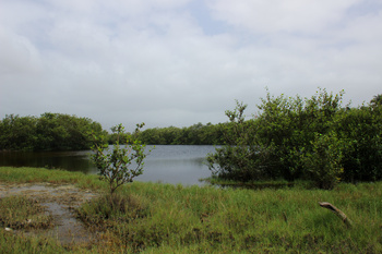 Naturreservat Khor Al Qurm Al Saghir
