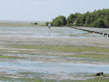Naturreservat der Feuchtgebiete