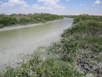 Naturreservat der Feuchtgebiete