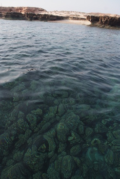 Réserve naturelle des îles Dimaniyat