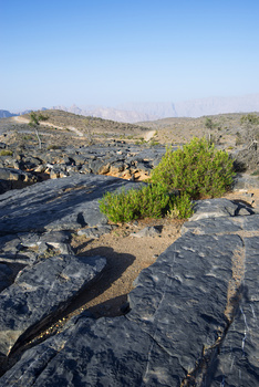 Reserva de Al Hajar Al Gharbi para la Observación de Estrellas en la Gobernación de Al Dakhiliyah