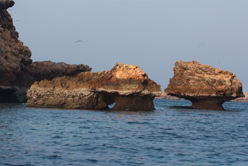 Naturreservat Daymaniyat Inseln