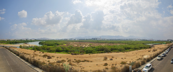 Réserve naturelle d’Al Qurm