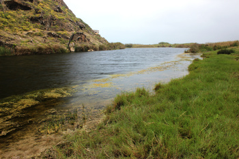 Naturreservat Khor Al Mughsail
